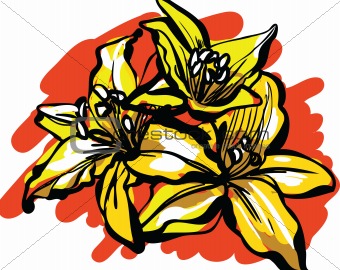 Figure bouquet of lilies on a white background