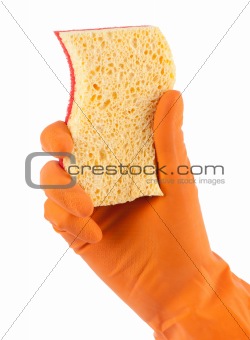 Hand in orange glove with sponge