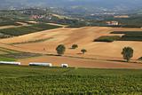 View on vineyards and fields in northern Italy.