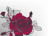 Retro  red rose graphic