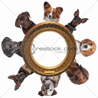 a group of dog portraits around a round golden picture frame