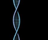 DNA helix on black