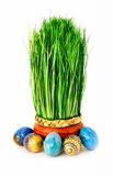 Easter grass and eggs