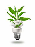 Green energy saving lamp