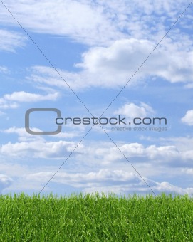Green grass blue sky