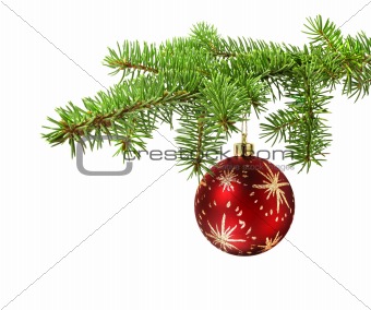 Red Christmas ball on branch