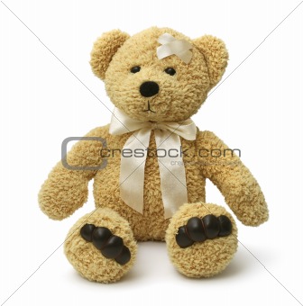 Sad teddy bear injured