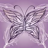 vector hand drawn beautiful butterfly, vintage style