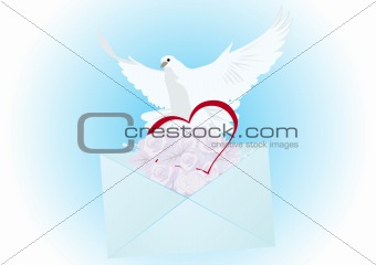 A white dove with a letter