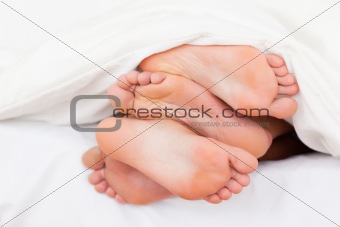 Stack of feet
