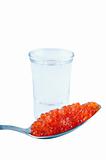 Russian vodka and red caviar