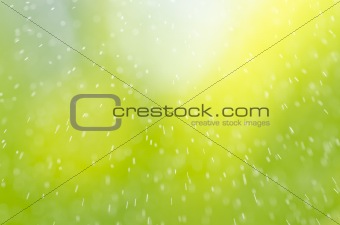 rain and green background