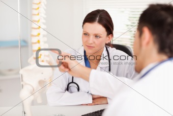 Doctor showing female doctor a spine