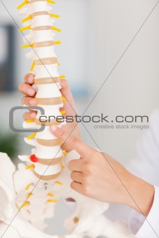 A finger pointing at bone in spine