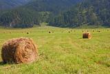 hay rolls in the background of mountains