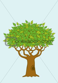 Illustration of the tree
