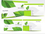 abstract green leaf business card
