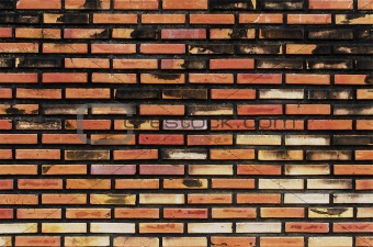 paint old grunge brick wall