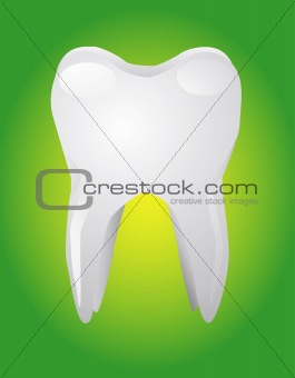 Vector illustration of white tooth