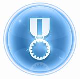 medal icon ice, isolated on white background.