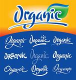 organic headlines, hand lettering set (vector)