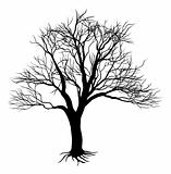 Bare tree silhouette