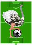 Ostrich with a soccer ball