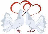 Two white doves and hearts