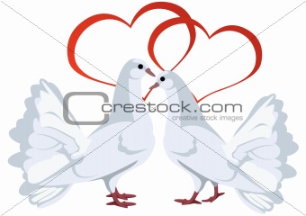 Two white doves and hearts