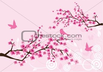 vector cherry branches