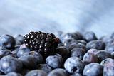 Blackberry on Blueberries