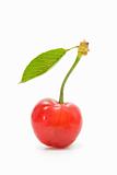 ecological cherries