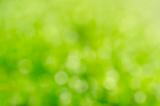 green moss blur background