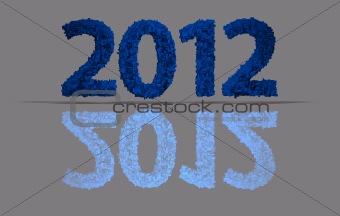 2012 New Year