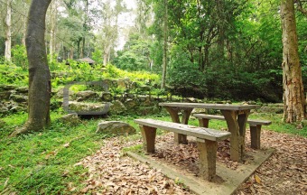 Picnic place in forest 