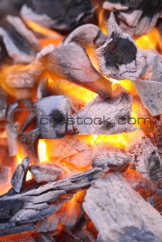 Decaying red coals of a tree in a fire 