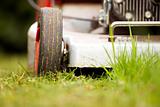 detail of a lawn-mower outdoor