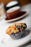 closeup of a blueberry muffin