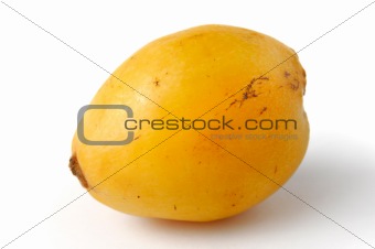 Loquat Fruit - Eriobotrya Japonica