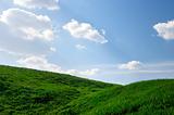 Grassy Hills Under Blue Skies