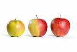 Three Apples From Green to Red