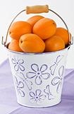 Apricot in white bucket