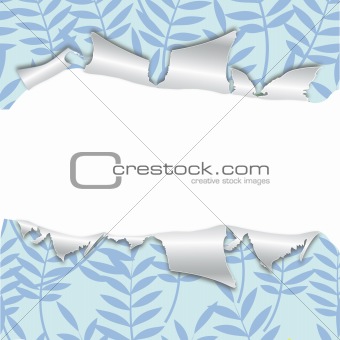 Torn background with blue leaves.