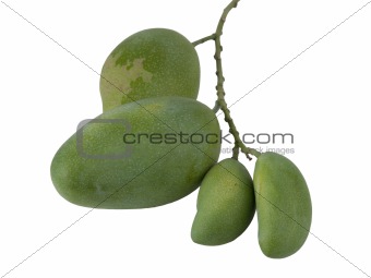 green mango  set