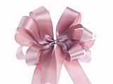 Gift ribbon bow on white background 