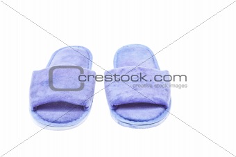 slippers isolated on the white background