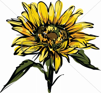 yellow sunflower design