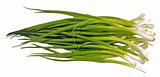 green Spring onions
