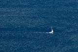 Sailboat on open sea