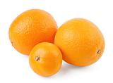 Two oranges and mandarin